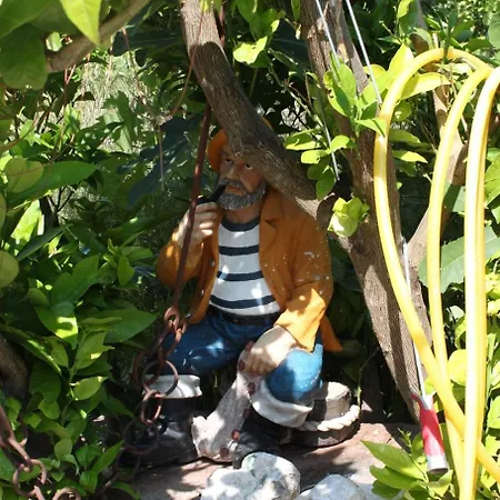 Donja Vala 6658a * درفينيك